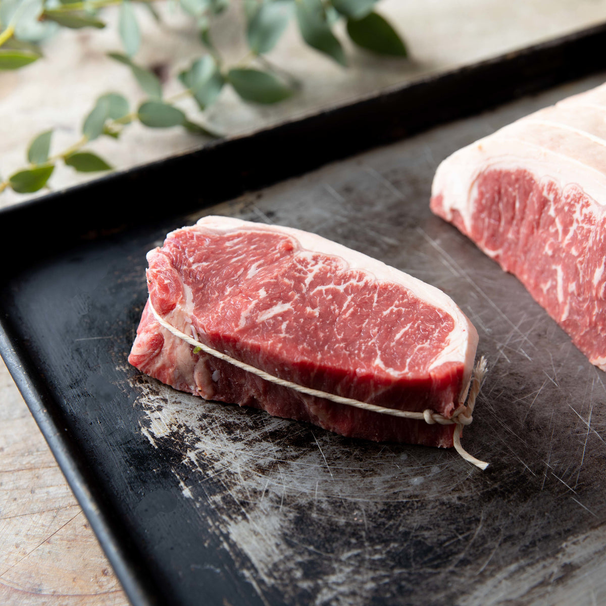 Porterhouse Fillet Steak Marble Score 4+ G.McBean Family Butcher